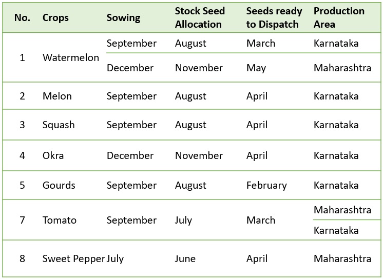hand planting corn seed of marrow in the vegetable garden with s